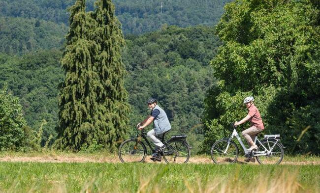Vente de vélos électriques Alsace